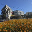 구례군청소년수련원 이미지