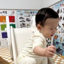 아이팜(주) | 아이팜 애플 미끄럼틀 6개월 사용중 내돈내산후기