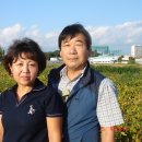 해병농장 이미지