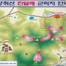 77차 정기 산행은 (여수 영취산으로 ...) 이미지