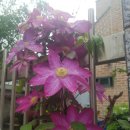 쌍용공원 이미지