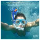 스노클링 이미지