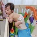 284 | #120 육아일기👶 D+284~287 성장기록 / 후기이유식 세 끼 시작, 먹짱아기의 밥태기?🥹