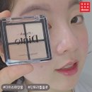 71 | 뮤트톤이라면! 다이소 딘토 71 리틀올콧 솔직 후기
