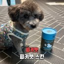 피키 | 피키펫 강아지피부영양제 후기｜발사탕 줄어든 스킨 관리 경험담