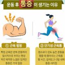 운동 후 어깨 통증 원인 대처법 이미지