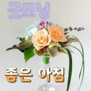 ☆ 춤은 끝이 없다 이미지