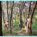 태권도 골든로드 | 전주태권도 전주 태권도 골든로드, 몸과 마음을 가꾸는 공간