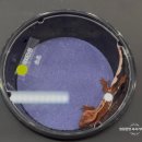 용두길 | 대구 파충류 박람회 엑스코 동관 밀림페어 구경 후기