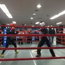 백두권투체육관 이미지