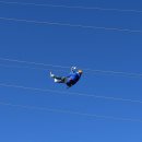 나인오션 이미지