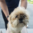 가덕중학교 이미지