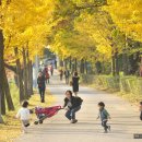 신세계목장 이미지