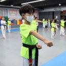 브레인박사 태권도장 | 창원태권도 심신이 성장하는 곳 브레인박사태권도장