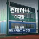 태장체육단지 야구장 이미지