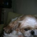 강선마을(중) 이미지