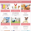 도그마루(왕십리점) 이미지