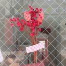 미미랜드네일