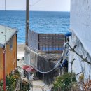 벽돌집순이 | 경북울진숙소 채플린하우스, 동해 일출 오션뷰 제대로 펜션