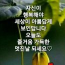 스카이윙