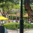 월드밸리 | 용인 에버랜드 주말후기 (사파리월드, 로스트밸리, 판다월드)