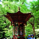 해촌민박 이미지