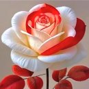 Mother of Mine - Hayley / Paul Anka - Put Your Head On My Shoulder 이미지