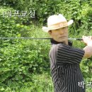 본24골프 이미지