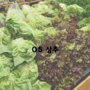 (주)미백 이미지