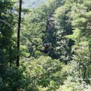 문경짚라인 이미지