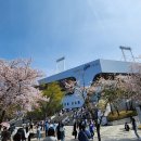 씨유 면목시장점 | 2023 프로야구 개막전 삼성 VS NC 경기 라팍 직관 후기