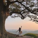 성흥산 솔바람길 이미지