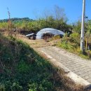 한적농장 이미지