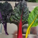 농부의 꿈 이미지