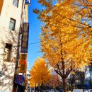 우리들밀알점 이미지