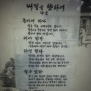 내일을 향하여 이미지