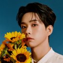 아이돌루시 이미지