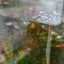 너머분식 이미지