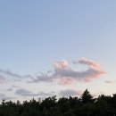 호수닭강정 이미지