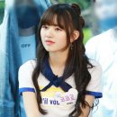코코로 이미지