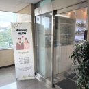 모아 헤어샾 - 광양시 | 🤵‍♂️👰‍♀️9.내돈내산 제주도 웨딩스냅촬영 헤어 메이크업 뮤토후기