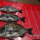 낚시인의 집 이미지