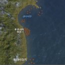 방사능 오염에 신음하는 일본...동북 연안 400km까지... 이미지