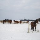 제주스카이라인휴양펜션 이미지