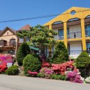 강가애하루 이미지