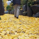 엘앤더슨병원 이미지