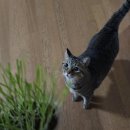 세은전자 | 사천 짜파게티 블로그