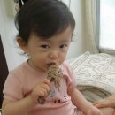 취락한방능이백숙 이미지