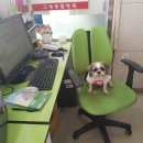 부자동물병원 이미지