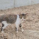 미영축사 이미지